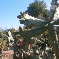 фото из отзыва ID 1495771