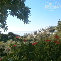 фото из отзыва ID 1495771