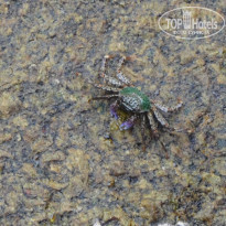 фото из отзыва ID 1496191