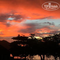 фото из отзыва ID 1496209