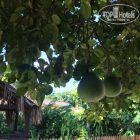 фото из отзыва ID 1496243