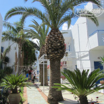 фото из отзыва ID 1496256