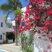 фото из отзыва ID 1496256