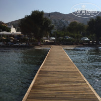 фото из отзыва ID 1496264