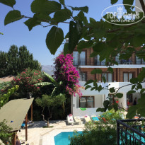 фото из отзыва ID 1496264