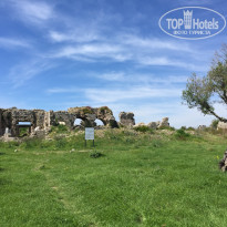 фото из отзыва ID 1496301