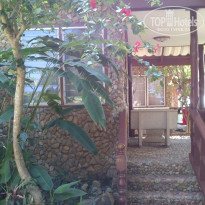 фото из отзыва ID 1496354