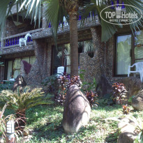 фото из отзыва ID 1496354