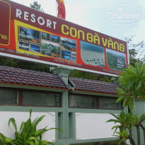 фото из отзыва ID 1495963