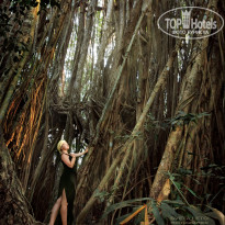 фото из отзыва ID 1496406