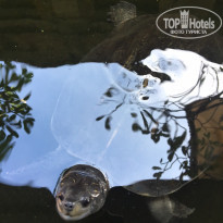 фото из отзыва ID 1496519