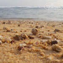 фото из отзыва ID 1496567