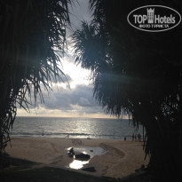 фото из отзыва ID 1496601