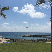 фото из отзыва ID 1496794