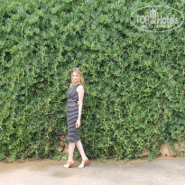 фото из отзыва ID 1496815