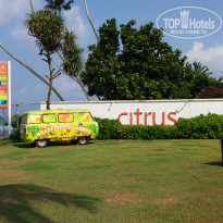 фото из отзыва ID 1496816