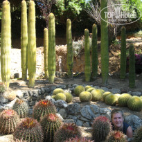 фото из отзыва ID 1496847