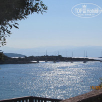 фото из отзыва ID 1496877