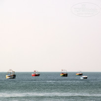 фото из отзыва ID 1496900