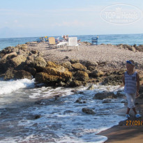 фото из отзыва ID 1496870