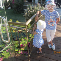 фото из отзыва ID 1496870