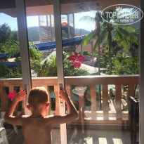 фото из отзыва ID 1496952