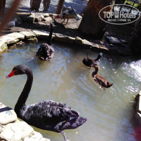 фото из отзыва ID 1497005