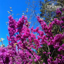 фото из отзыва ID 1497005