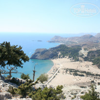 фото из отзыва ID 1497022