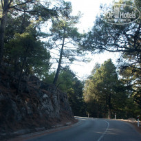 фото из отзыва ID 1497022