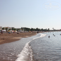 фото из отзыва ID 1497299