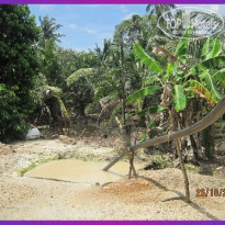 фото из отзыва ID 1497411