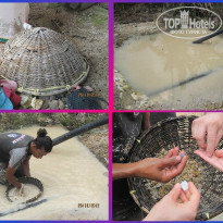 фото из отзыва ID 1497411