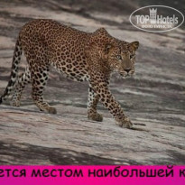 фото из отзыва ID 1497411