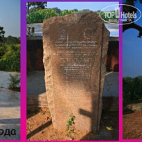 фото из отзыва ID 1497411