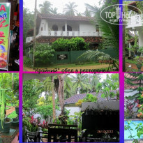 фото из отзыва ID 1497411