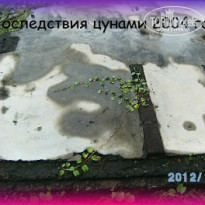 фото из отзыва ID 1497411