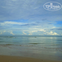 фото из отзыва ID 1497545