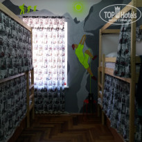 фото из отзыва ID 1497713