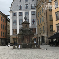 фото из отзыва ID 1497578