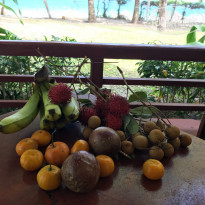 фото из отзыва ID 1497709