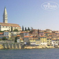 фото из отзыва ID 1498033