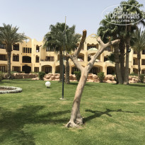 фото из отзыва ID 1498047