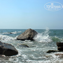 фото из отзыва ID 1495621