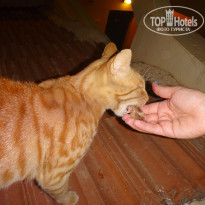 фото из отзыва ID 1498113