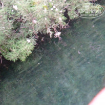 фото из отзыва ID 1498113