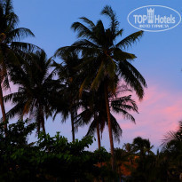 фото из отзыва ID 1498175