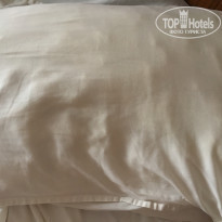 фото из отзыва ID 1498253