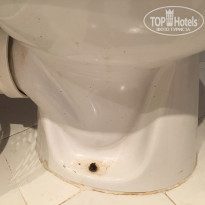 фото из отзыва ID 1498253