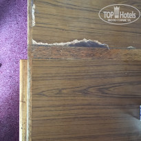 фото из отзыва ID 1498253